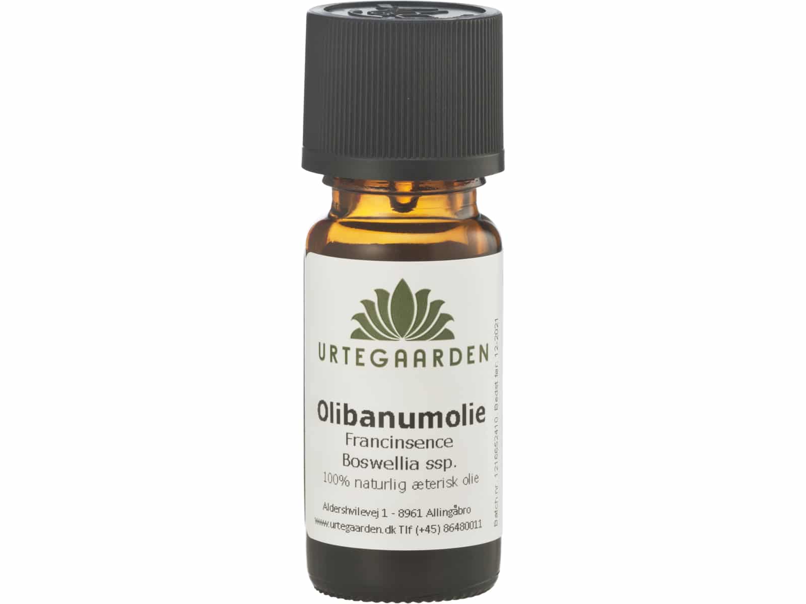 Frankincense, Olibanumolje (Boswellia Carterii)