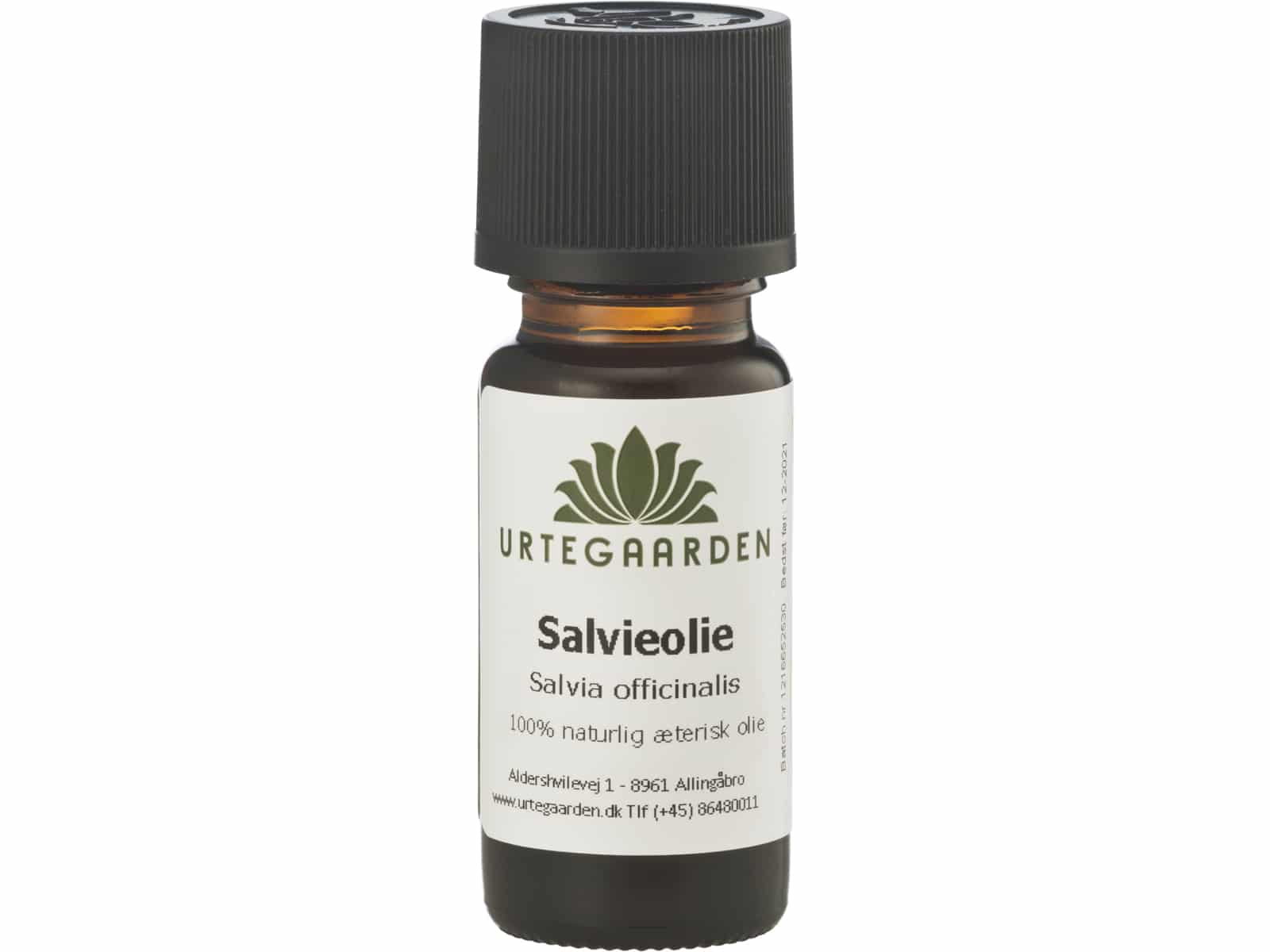 Salvieolje