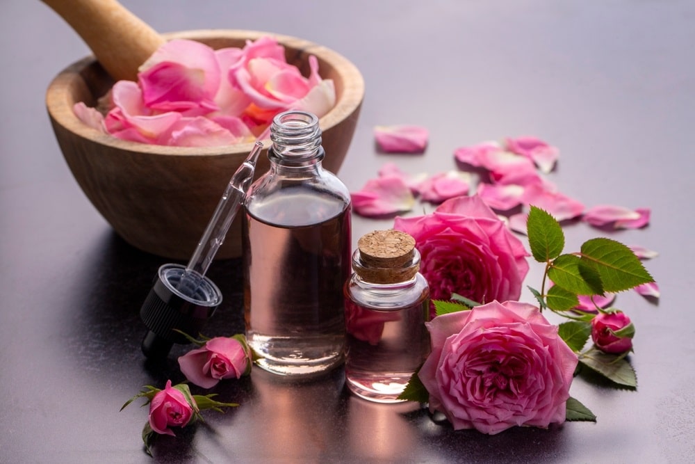 Rose hydrolat ØKO