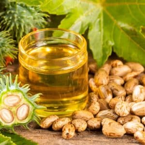 Seeds,And,Castor,Oil,-,Ricinus,Communis